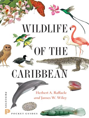 cover image of Wildlife of the Caribbean